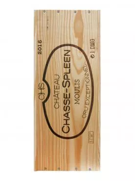 Château Chasse-Spleen 2016 Original wooden case of one double magnum (1x300cl)